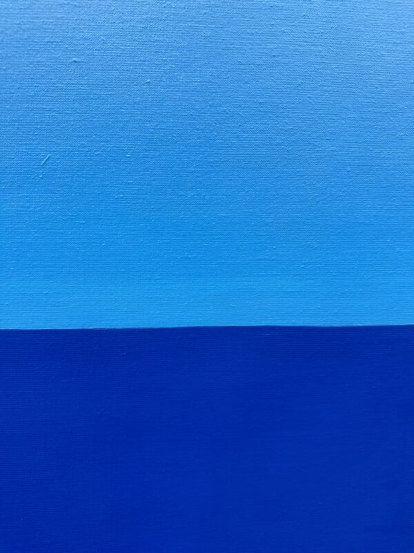 AL FRENO Blue velvet 80x80cm 3 Grande